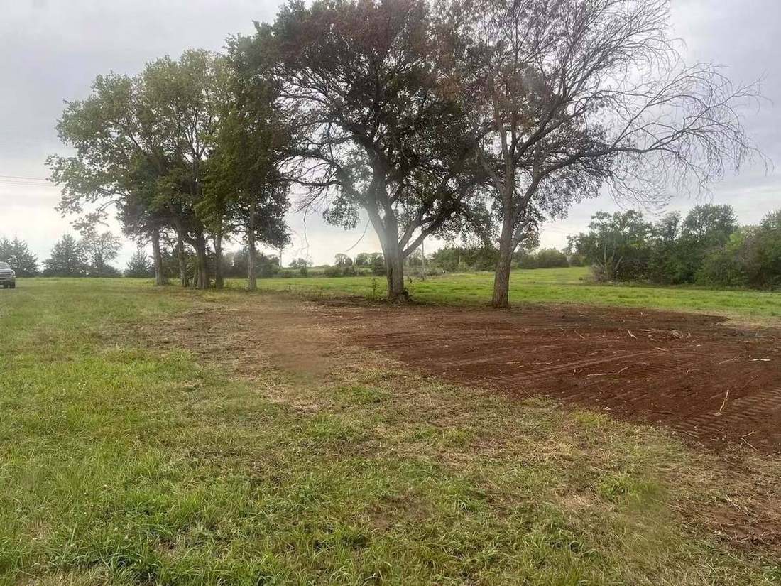 Tree line after clearing, brush removed and ground opened up
